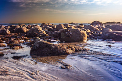Pebble stones rocky beach 