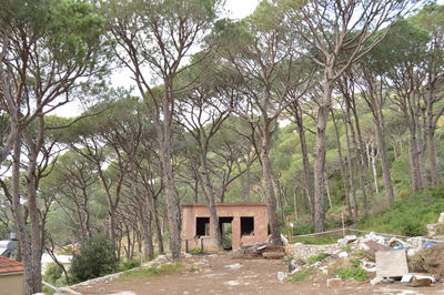 Built structure with trees in background