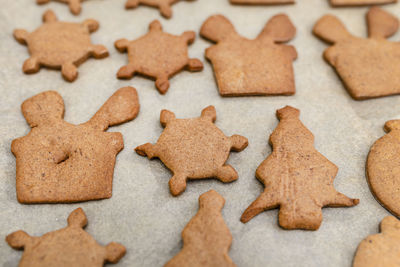 Baked gingerbread cookies in various shapes without decorations, lying on baking paper.