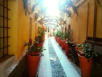 Narrow alley along buildings