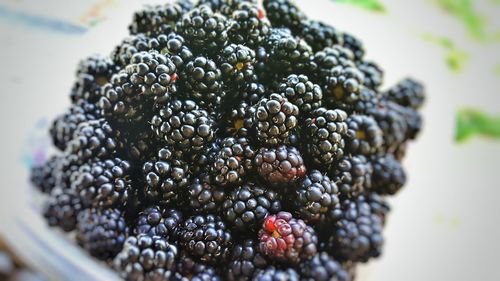 Close-up of blackberries