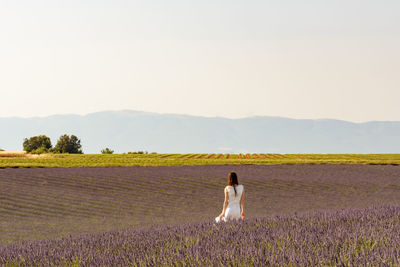 Rear view of woman standing in lavender field against clear sky