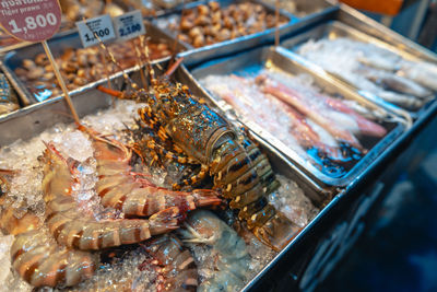 Close-up of seafood for sale at market stall