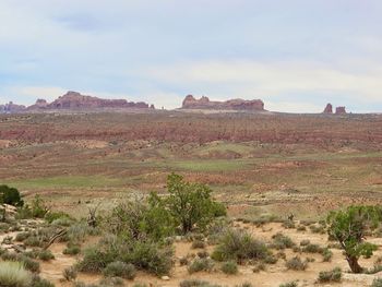 Scenic view of landscape against sky