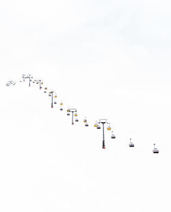 Flock of birds on snow against clear sky