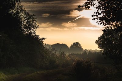 Silhouette of trees on landscape at sunset