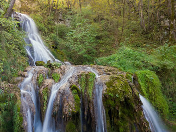Scenic view of waterfall in forest