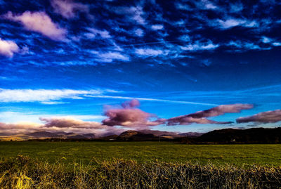 Scenic view of field against blue sky