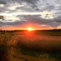 Scenic view of field against sky at sunset