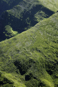 High angle view of green landscape