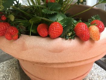 Close-up of strawberries in bowl on table