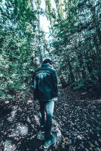 Rear view of man walking in forest