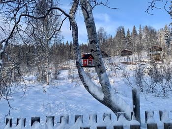 Snow covered bare trees against sky during winter