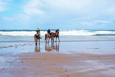 Horses riding horse on beach