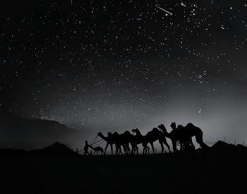 Silhouette camels walking at desert against star field