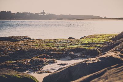 Scenic view of sea against clear sky