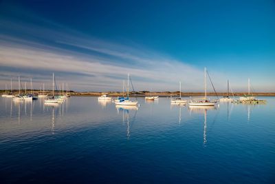 Sailboats moored in harbor against blue sky