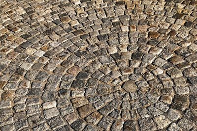 Full frame shot of tree stump