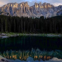 Scenic reflection of trees in calm lake