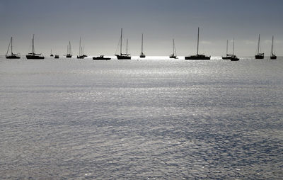 Sailboats moored in sea against sky