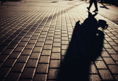 Low section of silhouette person walking on walkway