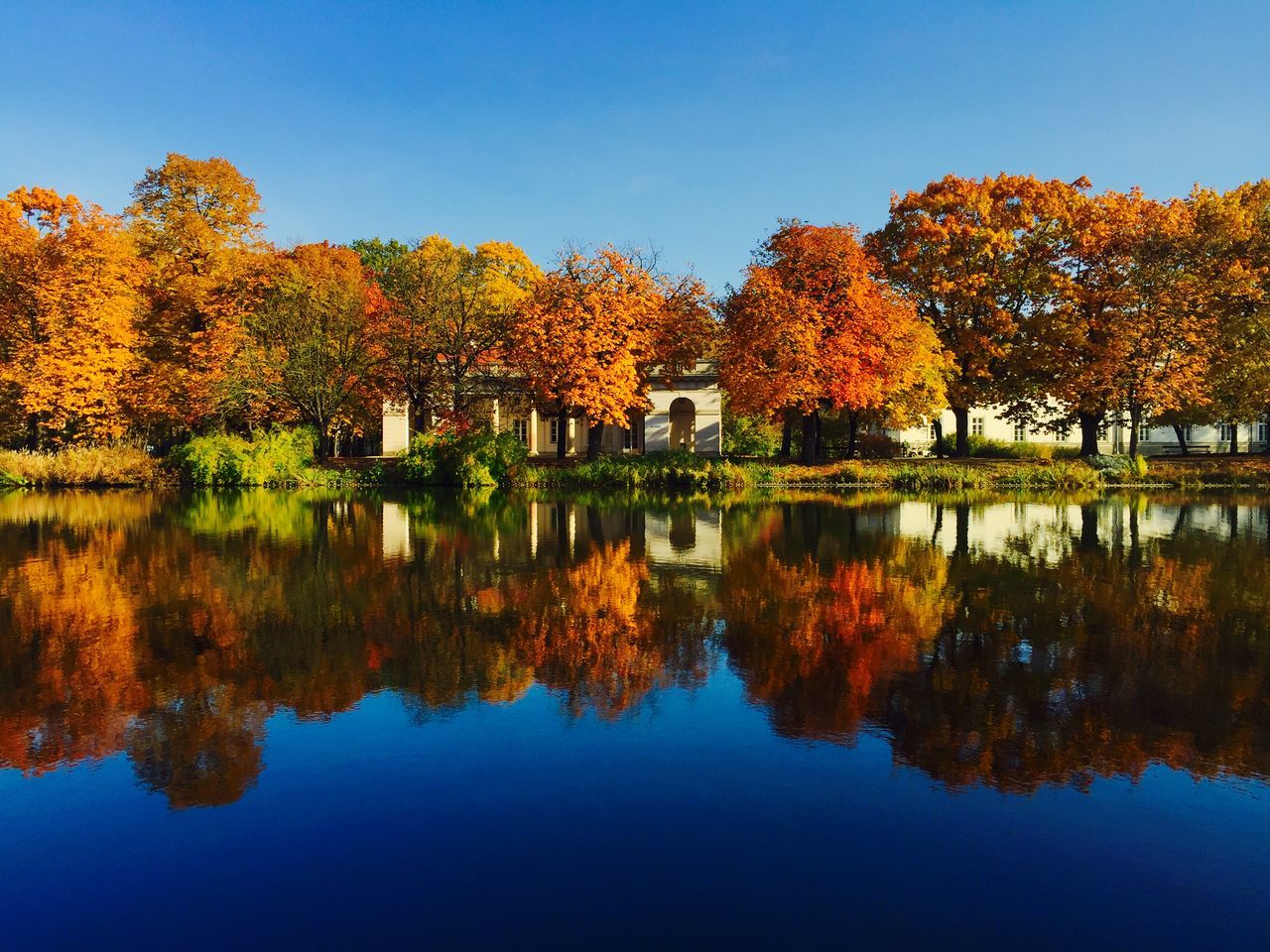 tree, reflection, autumn, clear sky, water, change, lake, blue, season, tranquility, waterfront, tranquil scene, built structure, beauty in nature, architecture, building exterior, nature, standing water, scenics, growth