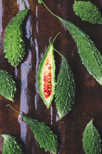 High angle view of fruits growing on plant