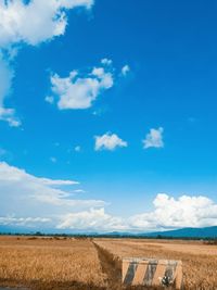 Scenic view of agricultural field against blue sky