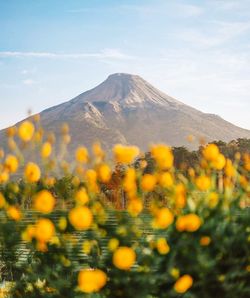 Scenic view of landscape against sky