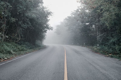 Empty road along trees