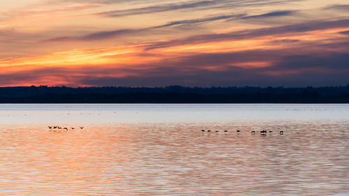 Scenic view of lake against orange sky