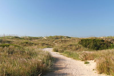 Dirt road amidst field against clear blue sky