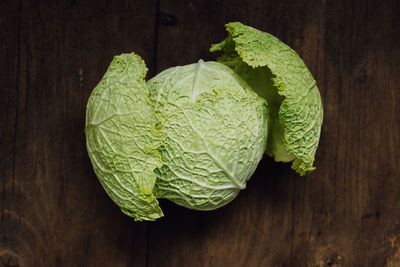 High angle view of green leaf on table