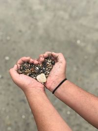 Cropped hands of man holding seashells in heart shape at beach