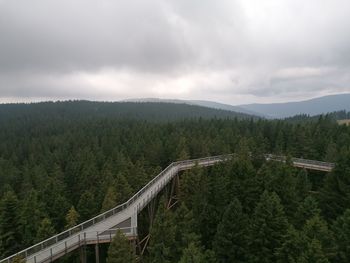 High angle view of plants and trees in forest against sky
