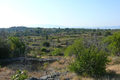 Scenic view of landscape against clear sky