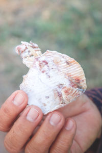 Close-up of person holding ice cream