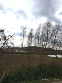 Bare trees on landscape against sky