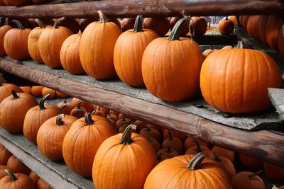 Pumpkins for sale at market stall