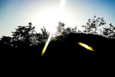 Low angle view of trees against sky