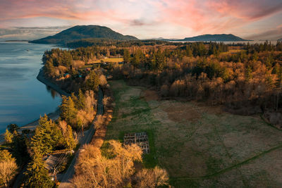 Aerial view of trees on landscape against sky during autumn