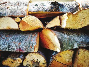 Detail shot of a pile of logs ready to be burned in a cold autumn afternoon