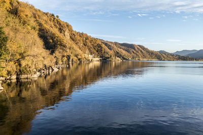 Foliage with red leaves near the lake maggiore in maccagno.