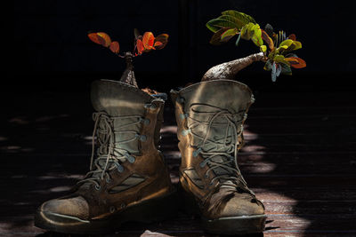 Close-up of shoes