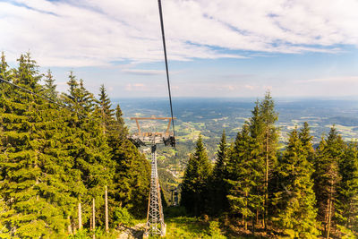 Scenic view of forest against sky