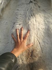 High angle view of human hand