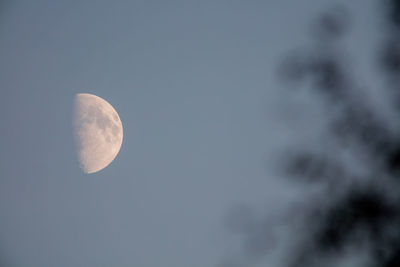 Low angle view of moon in sky