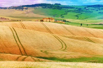 Scenic view of agricultural field against sky