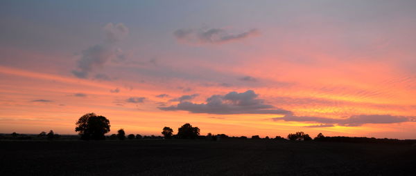 Silhouette trees on field against sky during sunset