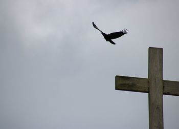 Low angle view of bird perching against sky